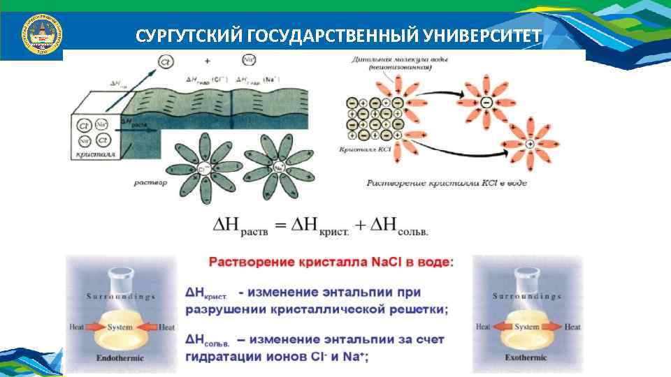 СУРГУТСКИЙ ГОСУДАРСТВЕННЫЙ УНИВЕРСИТЕТ 