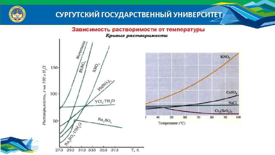 СУРГУТСКИЙ ГОСУДАРСТВЕННЫЙ УНИВЕРСИТЕТ 