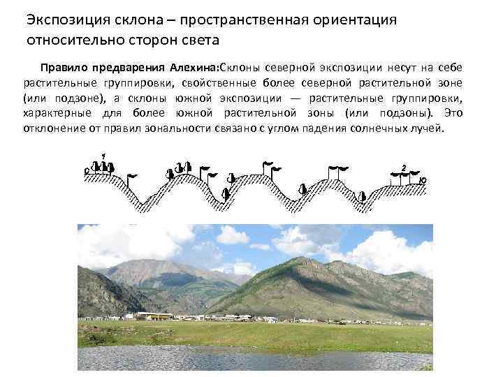 Экспозиция склона – пространственная ориентация относительно сторон света Правило предварения Алехина: Склоны северной экспозиции