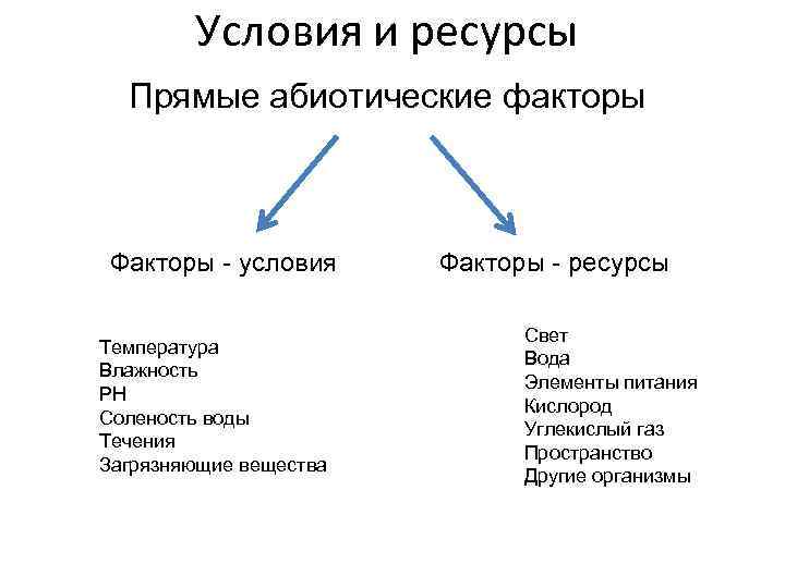 Условия и ресурсы Прямые абиотические факторы Факторы - условия Температура Влажность PH Соленость воды