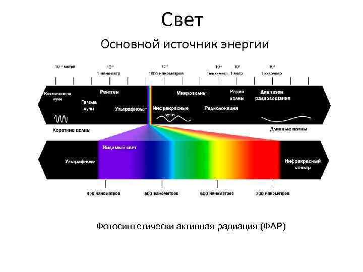 Свет Основной источник энергии Фотосинтетически активная радиация (ФАР) 