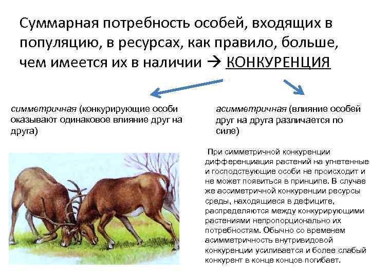 Суммарная потребность особей, входящих в популяцию, в ресурсах, как правило, больше, чем имеется их