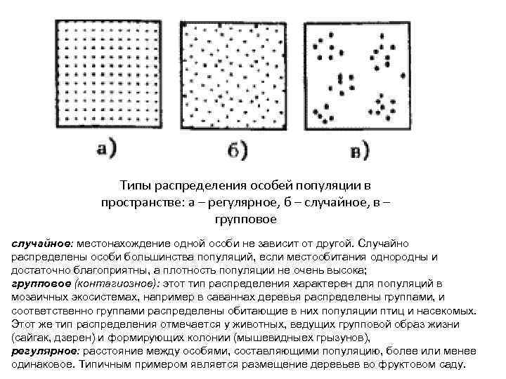 Типы распределения особей популяции в пространстве: а – регулярное, б – случайное, в –