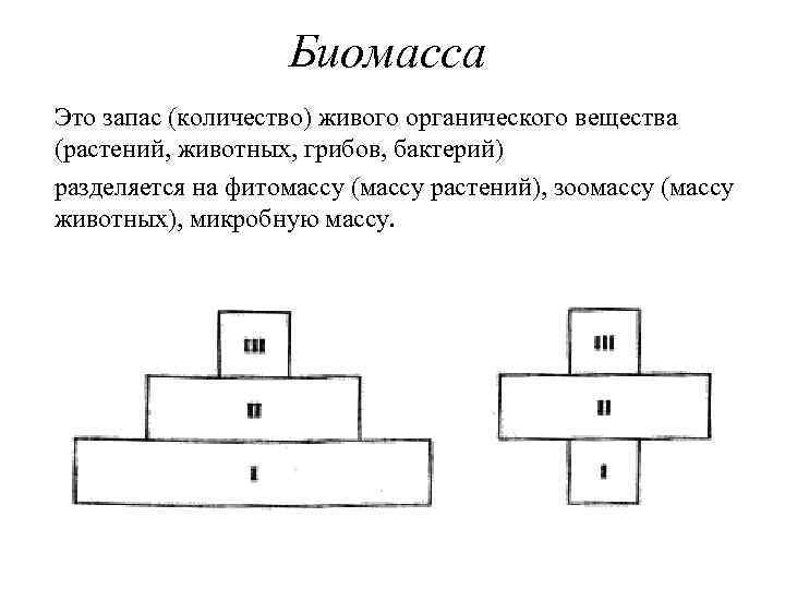 Биомасса Это запас (количество) живого органического вещества (растений, животных, грибов, бактерий) разделяется на фитомассу