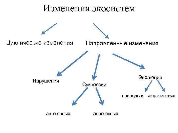 Изменения экосистем Циклические изменения Нарушения Направленные изменения Эволюция Сукцессии природная антропогенная автогенные аллогенные 