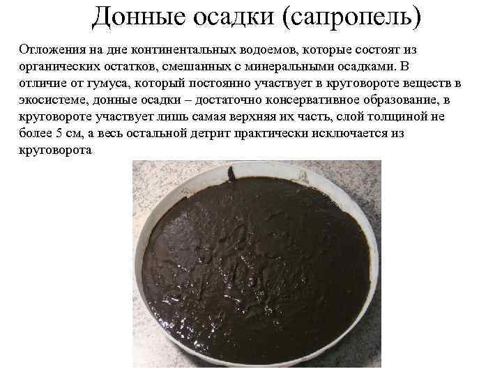 Донные осадки (сапропель) Отложения на дне континентальных водоемов, которые состоят из органических остатков, смешанных