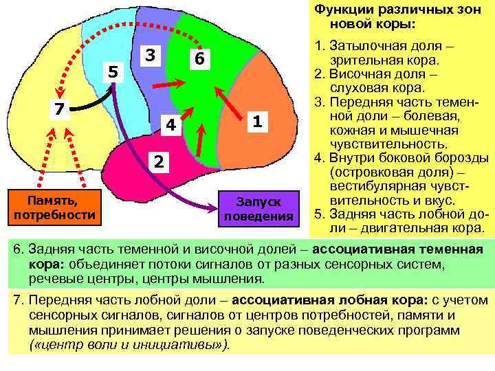 Размер функции в памяти