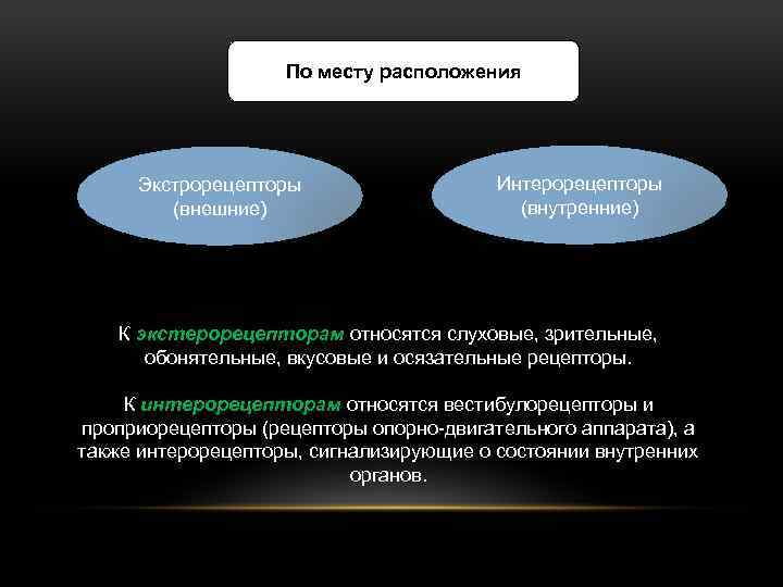 По месту расположения Экстрорецепторы (внешние) Интерорецепторы (внутренние) К экстерорецепторам относятся слуховые, зрительные, обонятельные, вкусовые