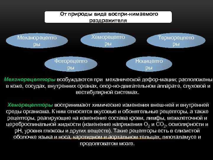 От природы вида воспри нимаемого раздражителя Механорецепто ры Фоторецепто ры Хеморецепто ры Терморецпето ры