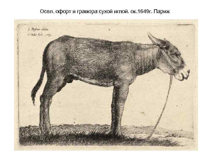 Осел. офорт и гравюра сухой иглой. ок. 1649 г. Париж 