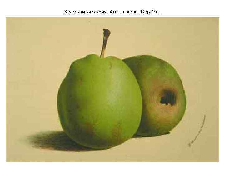 Хромолитография. Англ. школа. Сер. 19 в. 