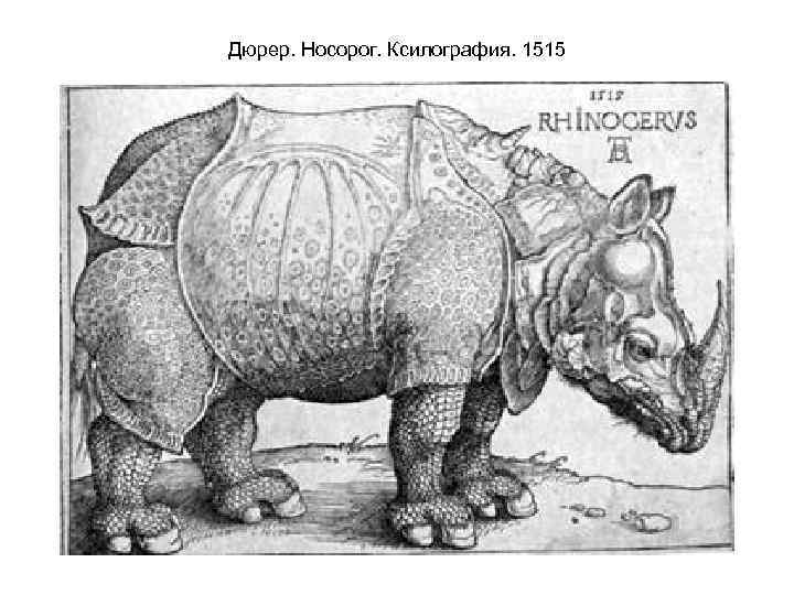 Дюрер. Носорог. Ксилография. 1515 