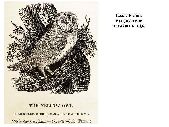 Томас Бьюик, торцевая или тоновая гравюра 