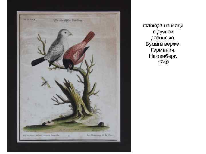 гравюра на меди с ручной росписью. Бумага верже. Германия. Нюренберг. 1749 