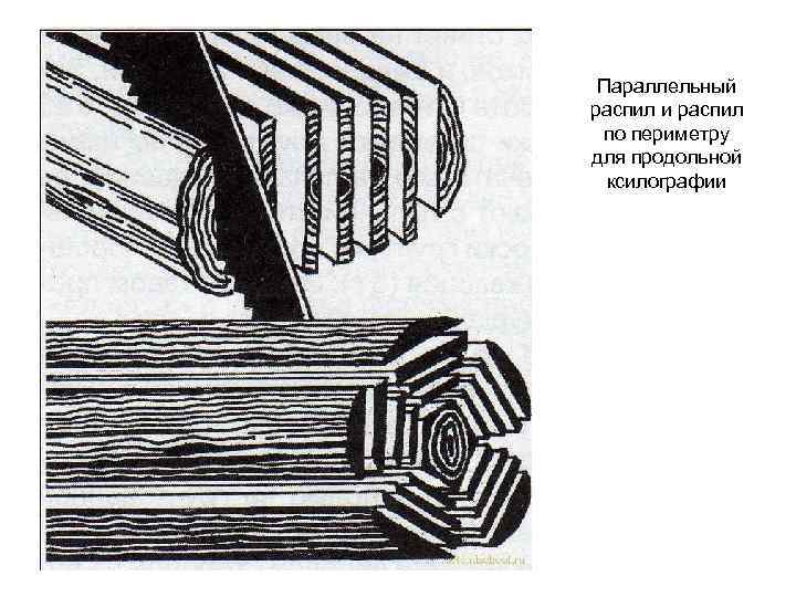 Параллельный распил и распил по периметру для продольной ксилографии 