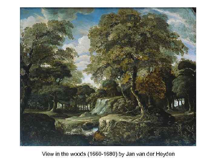 View in the woods (1660 -1680) by Jan van der Heyden 