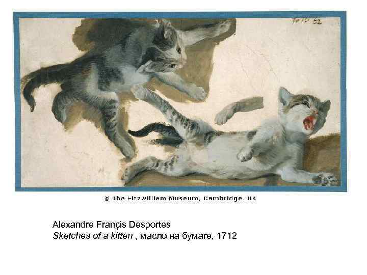 Alexandre Françis Desportes Sketches of a kitten , масло на бумаге, 1712 