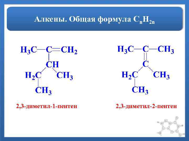 Алкены. Общая формула Сn. H 2 n 2, 3 -диметил-1 -пентен 2, 3 -диметил-2