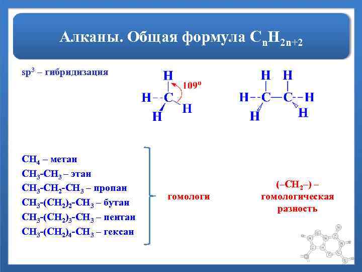 Алканы. Общая формула Сn. H 2 n+2 sp 3 – гибридизация СН 4 –