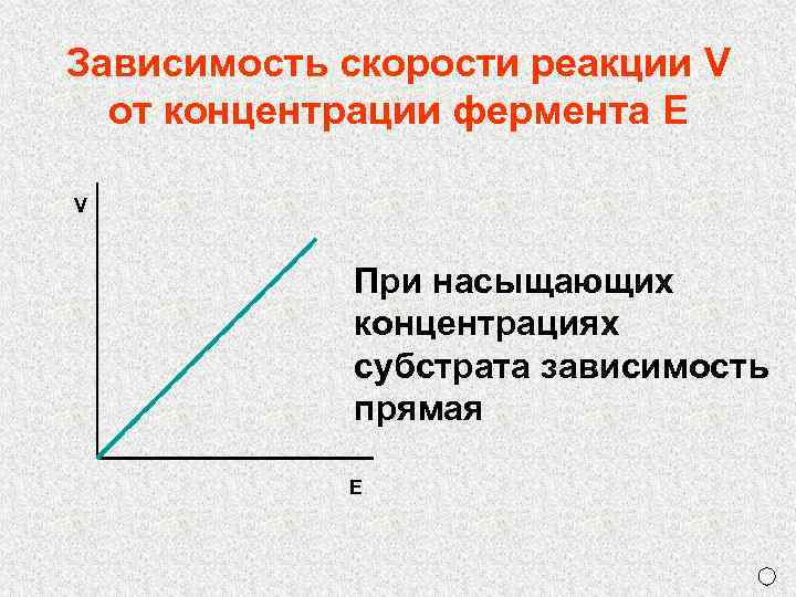 Зависимость скорости реакции V от концентрации фермента E V При насыщающих концентрациях субстрата зависимость