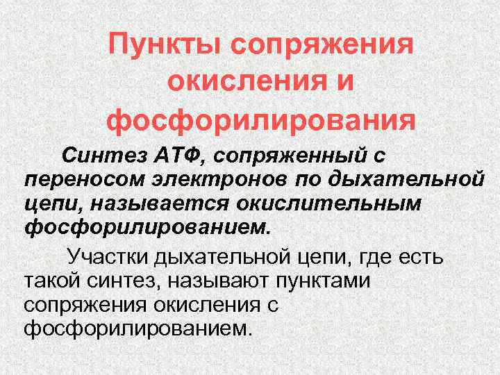 Пункты сопряжения окисления и фосфорилирования Синтез АТФ, сопряженный с переносом электронов по дыхательной цепи,