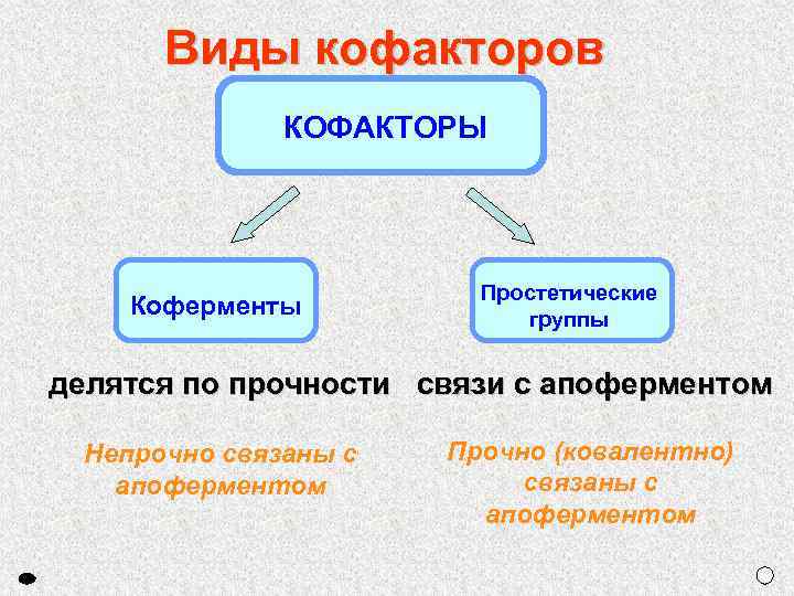 Виды кофакторов КОФАКТОРЫ Коферменты Простетические группы делятся по прочности связи с апоферментом Непрочно связаны