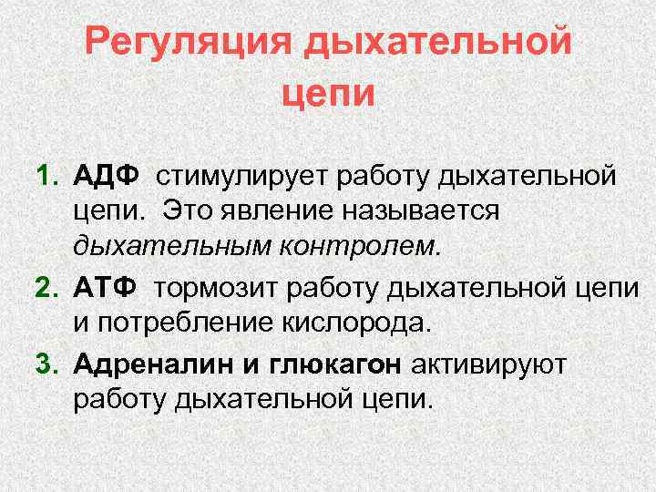 Регуляция дыхательной цепи 1. АДФ стимулирует работу дыхательной цепи. Это явление называется дыхательным контролем.