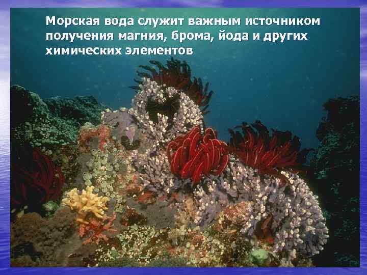 Морская вода служит важным источником получения магния, брома, йода и других химических элементов 