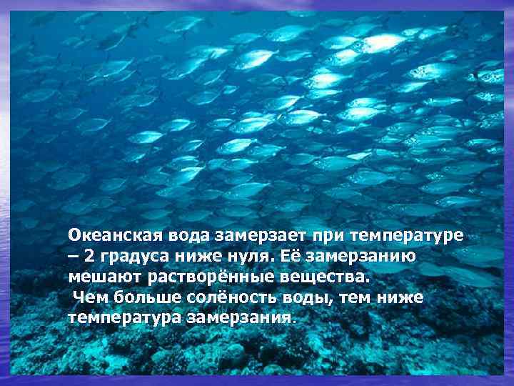 Океанская вода замерзает при температуре – 2 градуса ниже нуля. Её замерзанию мешают растворённые