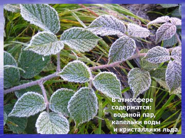 В атмосфере содержатся: водяной пар, капельки воды и кристаллики льда. 