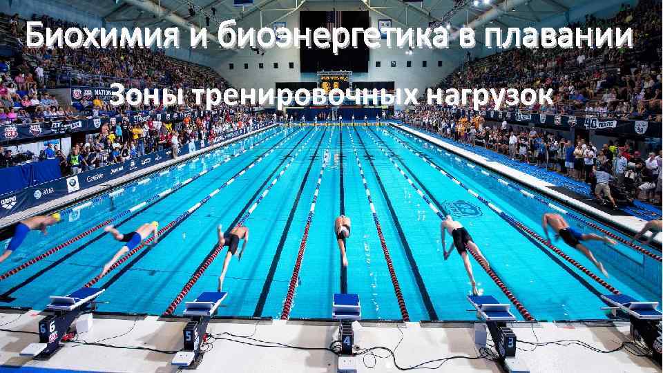 Биохимия и биоэнергетика в плавании Зоны тренировочных нагрузок 