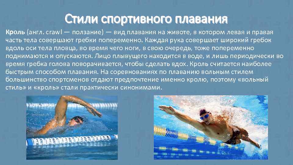 Стили спортивного плавания Кроль (англ. crawl — ползание) — вид плавания на животе, в