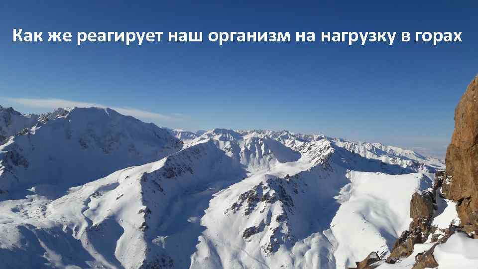 Как же реагирует наш организм на нагрузку в горах 