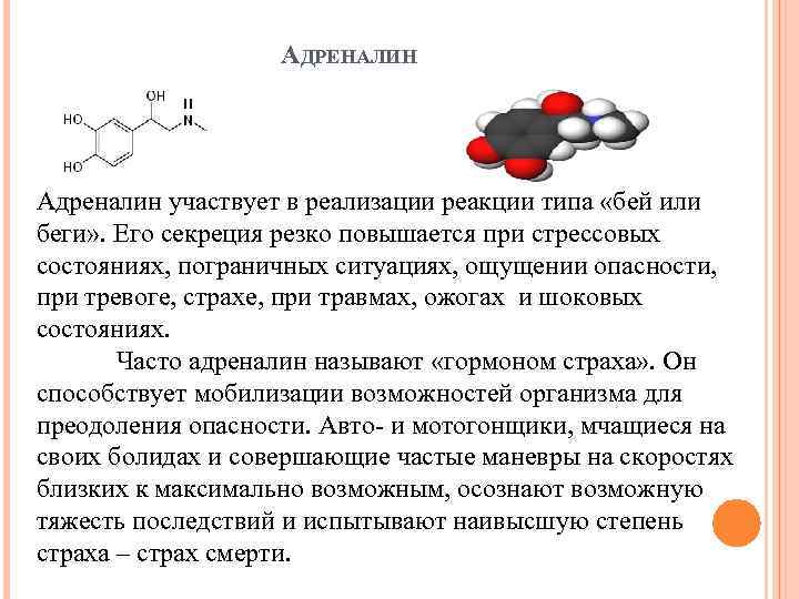 АДРЕНАЛИН Адреналин участвует в реализации реакции типа «бей или беги» . Его секреция резко