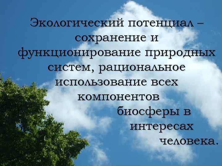 Экологический потенциал – сохранение и функционирование природных систем, рациональное использование всех компонентов биосферы в