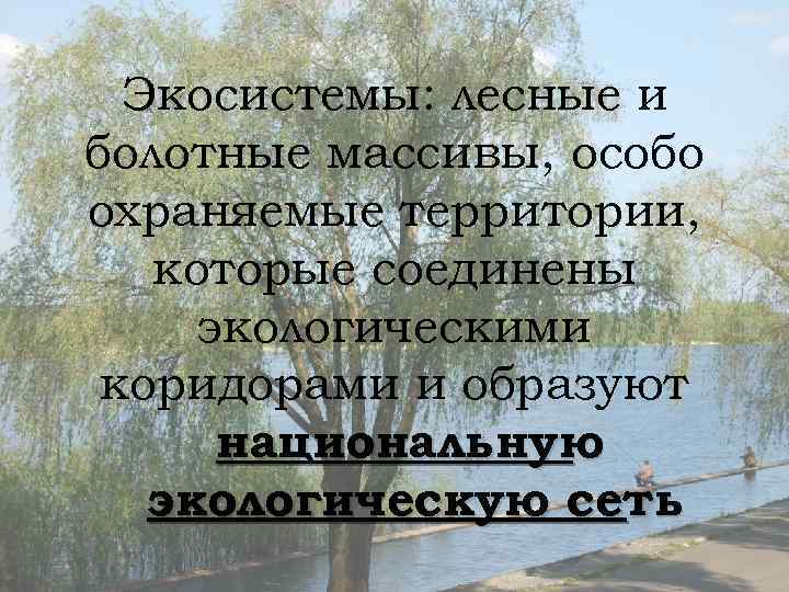 Экосистемы: лесные и болотные массивы, особо охраняемые территории, которые соединены экологическими коридорами и образуют