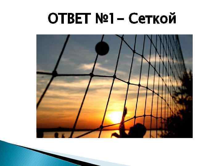 ОТВЕТ № 1 - Сеткой 