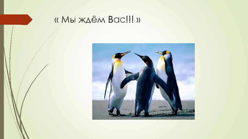  « Мы ждём Вас!!! » 