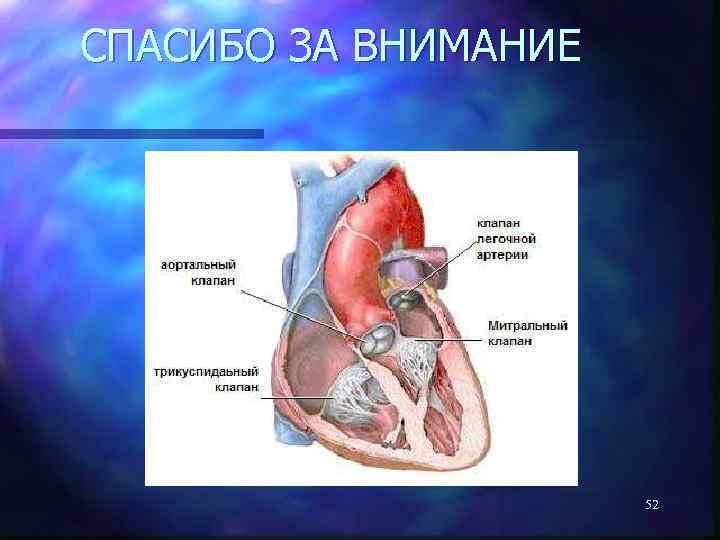 СПАСИБО ЗА ВНИМАНИЕ 52 