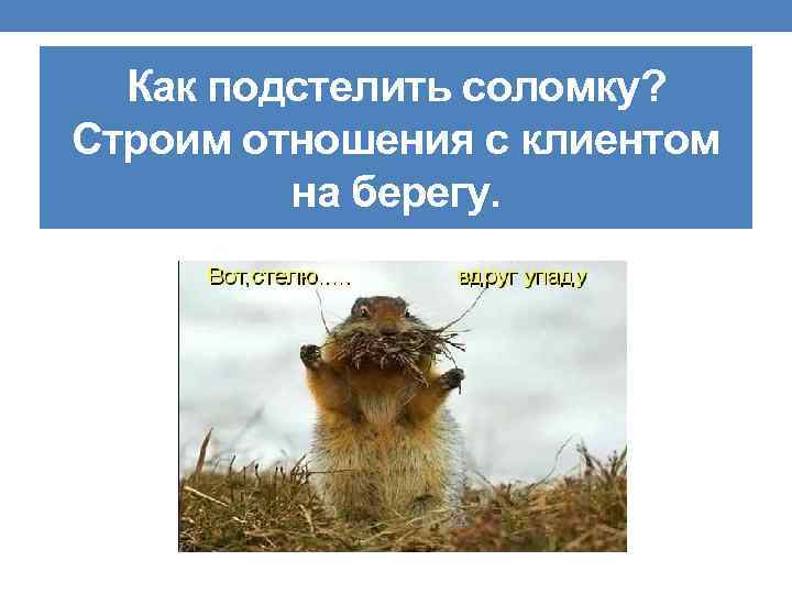 Как подстелить соломку? Строим отношения с клиентом на берегу. 
