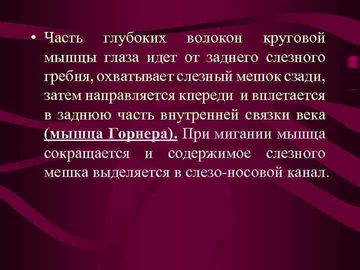  • Часть глубоких волокон круговой мышцы глаза идет от заднего слезного гребня, охватывает