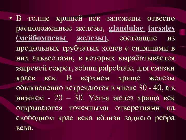  • В толще хрящей век заложены отвесно расположенные железы, glandulae tarsales (мейбомиевы железы),