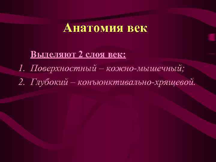 Анатомия век Выделяют 2 слоя век: 1. Поверхностный – кожно-мышечный; 2. Глубокий – конъюнктивально-хрящевой.