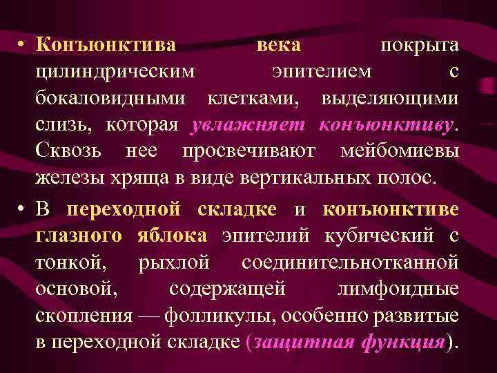  • Конъюнктива века покрыта цилиндрическим эпителием с бокаловидными клетками, выделяющими слизь, которая увлажняет