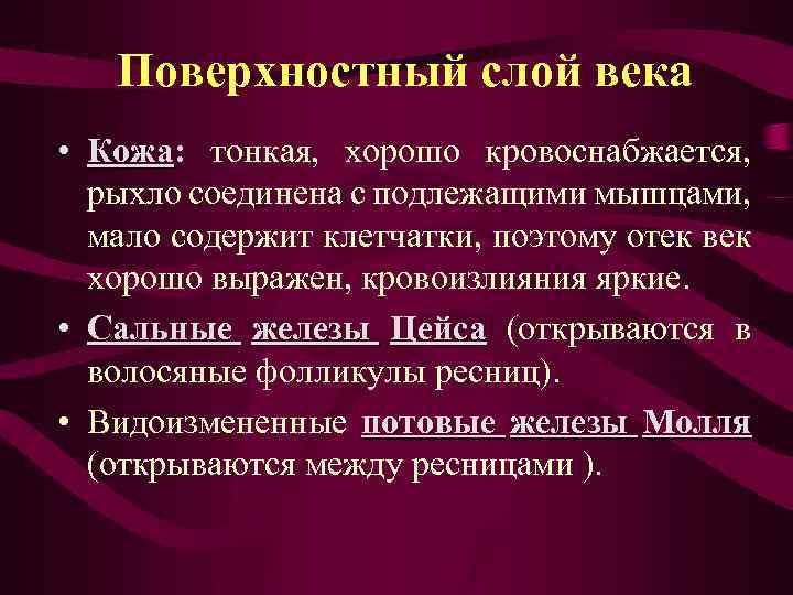 Поверхностный слой века • Кожа: тонкая, хорошо кровоснабжается, рыхло соединена с подлежащими мышцами, мало