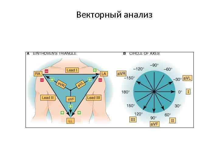 Векторный анализ 