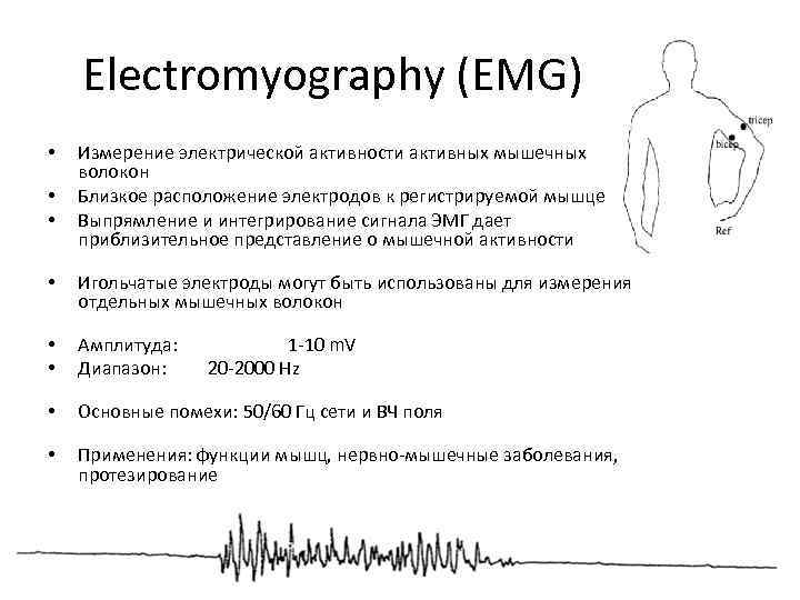 Electromyography (EMG) • • • Измерение электрической активности активных мышечных волокон Близкое расположение электродов