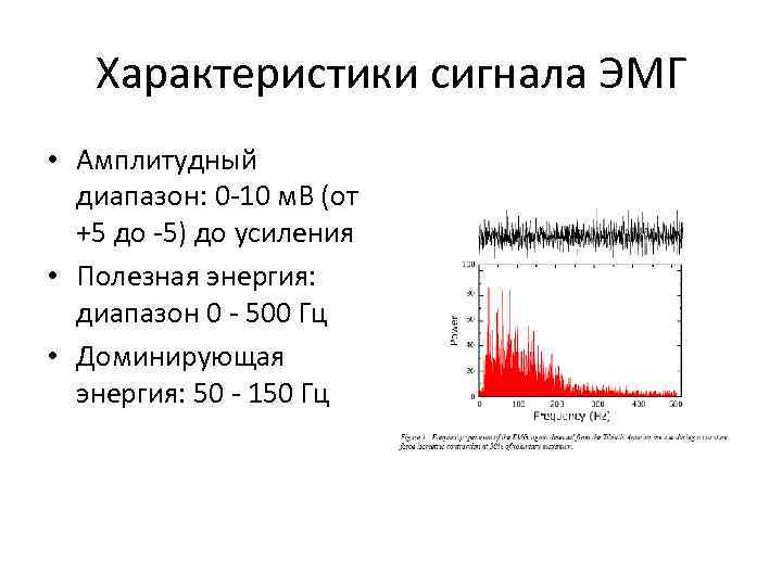 Характеристики сигнала ЭМГ • Амплитудный диапазон: 0 -10 м. В (от +5 до -5)