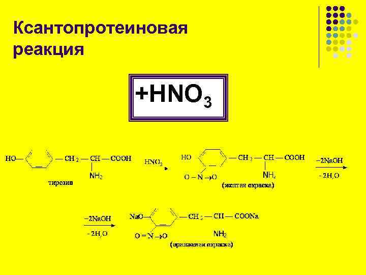 Белки с азотной кислотой. Качественная реакция на белки ксантопротеиновая. Качественная реакция на белки ксантопротеиновая реакция. Ксантопротеиновая реакция на тирозин. Ксантопротеиновая реакция белков уравнение реакции.