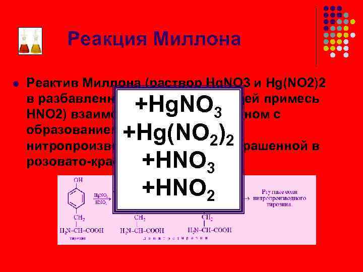 Реакция Миллона l Реактив Миллона (раствор Hg. NO 3 и Hg(NO 2)2 в разбавленной
